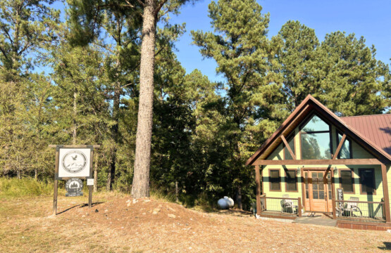 42524 128389 iJMUxA68IeVUtuv5OHgmRfd5vX2EhpO0m3gh6x4yQrQ 68e1974eec030.jpg