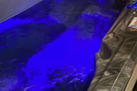 42524 149552 tVn8D92uKGe M18P9nl1G1aXY5Xk6z1qyNz3u83MJ8g 682f12524d137.jpg